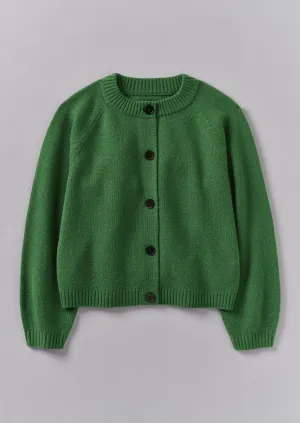 Eden Wool Cashmere Raglan Cardigan | Mineral Green